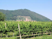 Monumenti Nazionali - Abbazia di Praglia - Esterno
